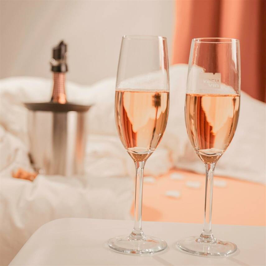 Vacu Vin 3647360 Aktif Şampanya Soğutucu Elegant Paslanmaz Çelik Kutulu - 5